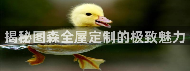 bb电子什么游戏好赢一点