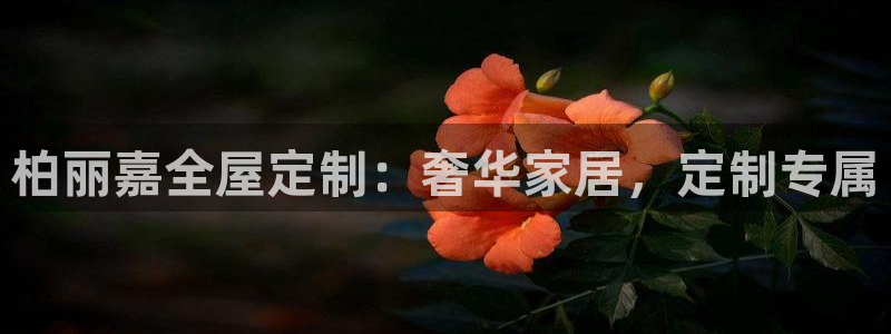 bb电子爆奖