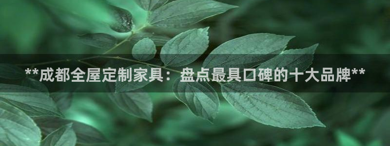 BB电子烟官网