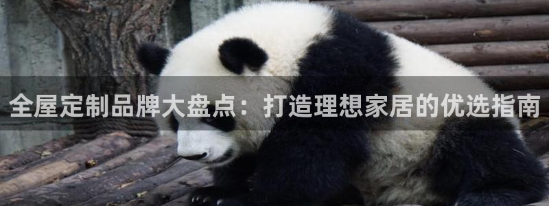 bb电子哪个平台好一点