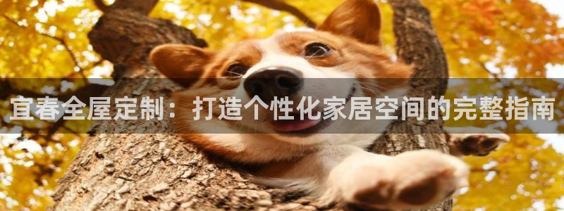 bb电子中了Major怎么算