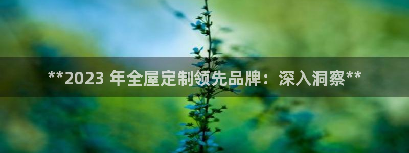 bb电子哪个平台好些