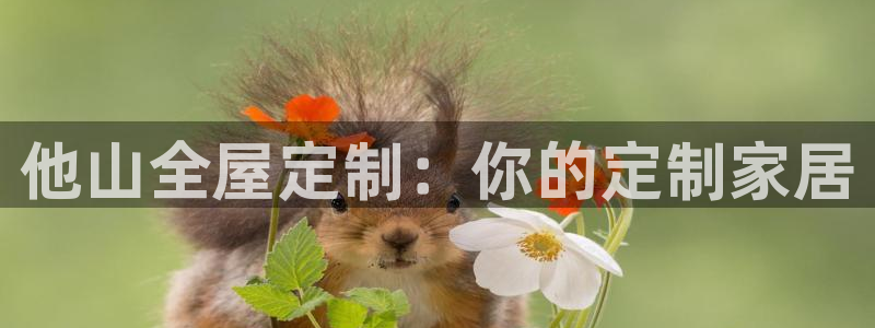 bb电子游戏作弊
