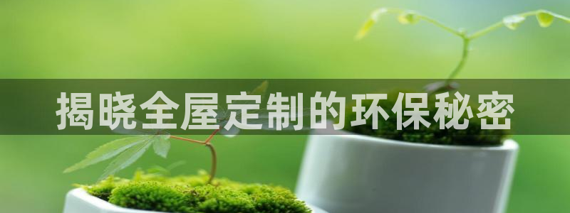bb电子哪个平台好点