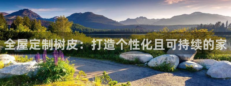 bb电子哪个平台好一点