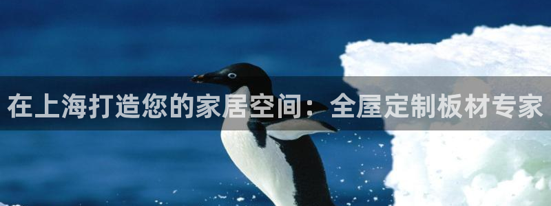 bb电子哪个平台好啊
