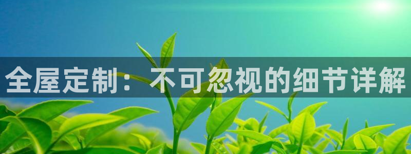 bb电子哪个平台好用一点