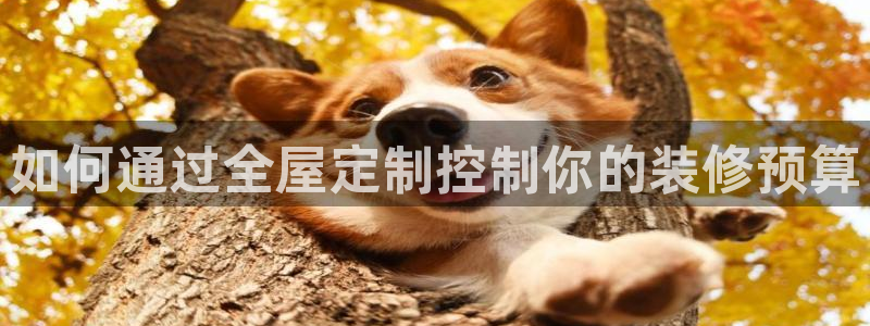 BB电子开户