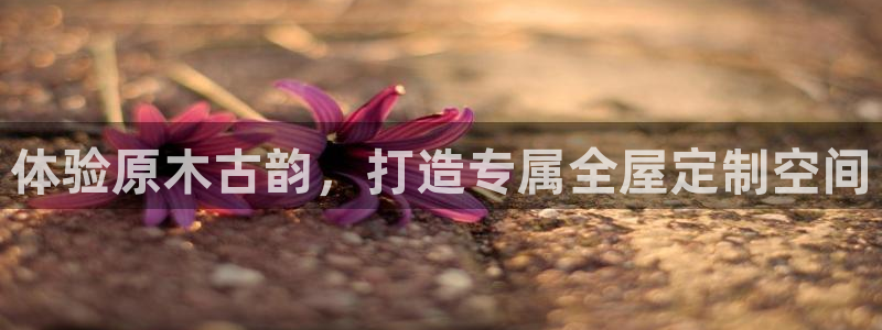 bb电子哪个平台好点