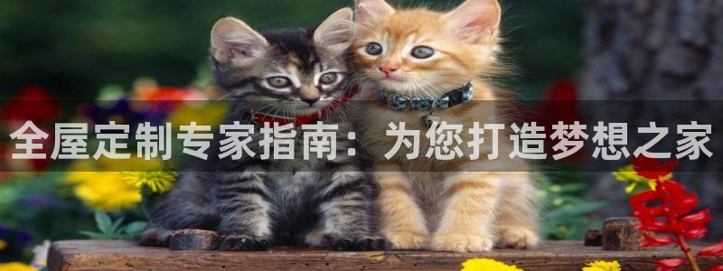 BB电子烟官网