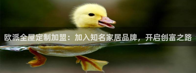 Bb电子琴和弦是哪个
