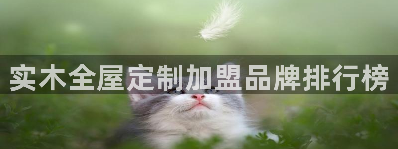 BB电子烟官网