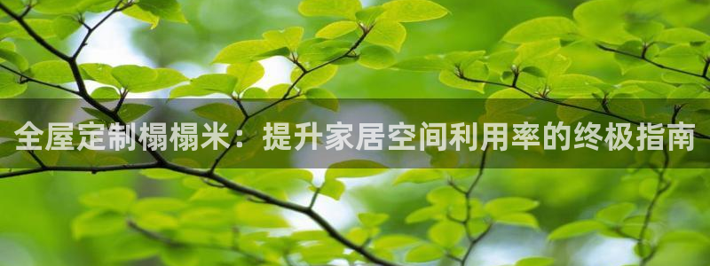 BB电子哪个平台好出款