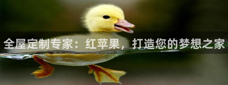 bB电子琴和弦
